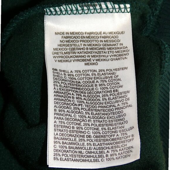 NWT The North Face Ponderosa Green Silver Glacier Hoodie Womens XL - Picture 7 of 9